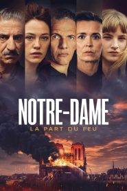 Notre-Dame 2022