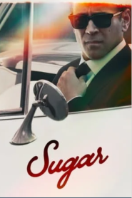 Sugar 2024